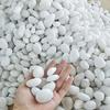 400g High Polished Natural Pebbles 2-3cm Landscape Decoration Peddles for Fish Tank Aquariums Horticultural Decorative Stones