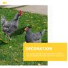 Stake Rooster Hen Chicken Sculpture Yard Garden Animal Statue Figurine Stakes Decoration Acrylic Backyard Lawn Sign Ornament