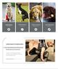 Pet Postoperative & Senior Dog Leg Support Brace