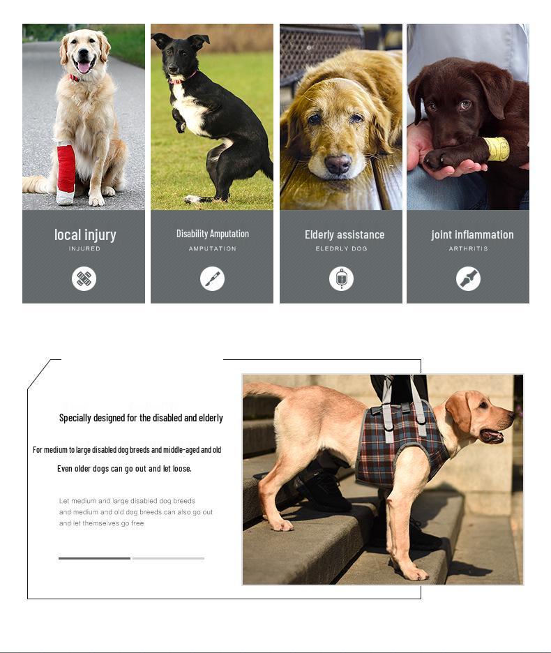 Pet Postoperative & Senior Dog Leg Support Brace