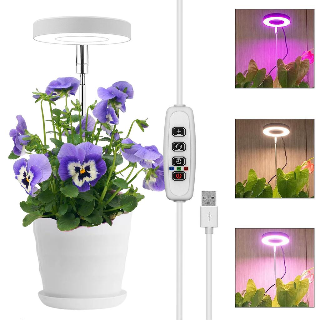 Full Spectrum LED Grow Lights for Indoor Plants Height Adjustable Dimmable Growing Lamp Flower Halo Ring Phyto Lamp Growth Light