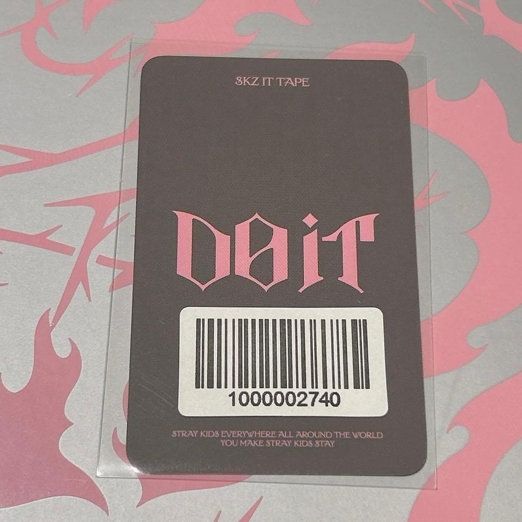 [USED] Stray Kids Do It FANS Seungmin