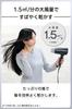 TESCOM Hair Dryer, Negative Ion, Lightweight, Foldable, Cold/Hot Air, Easy-Drain Plug, 1.7m, Gray, TD260B-H
