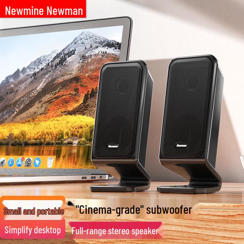 Newmine Desktop & Laptop Computer Speakers