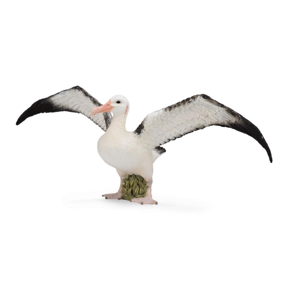 

CollectA Wandering Albatross Figure (Large)