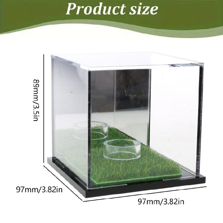 Acrylic Square Baseball Holder Clear Display Box Square Display Holder Baseball Storage Box for Baseball Golf Balls