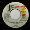 7inch Record GALAXY P  Fat Sexy And Round NONE John John Recor 1993 Jamaica Reggae Ska  Dub Used