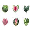 Dekorativní magnety na lednici, sada 6 kusů, design listů simulovaných rostlin, pro domácí dekoraci a připomínky