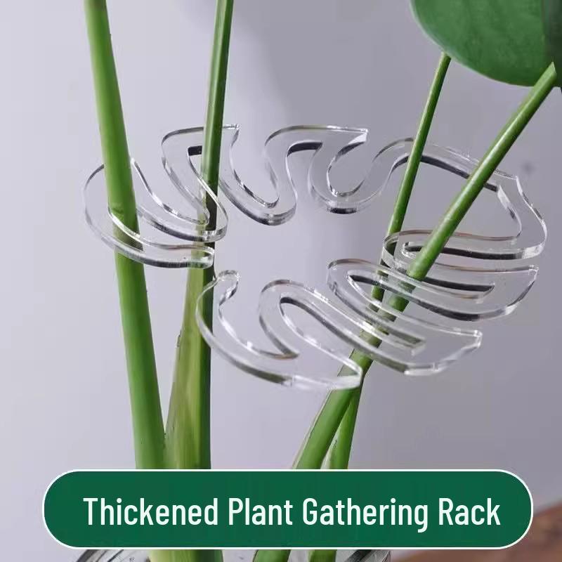Monstera Plant Stands & Flower-Shaped Support Stakes for Indoor/Outdoor Growth