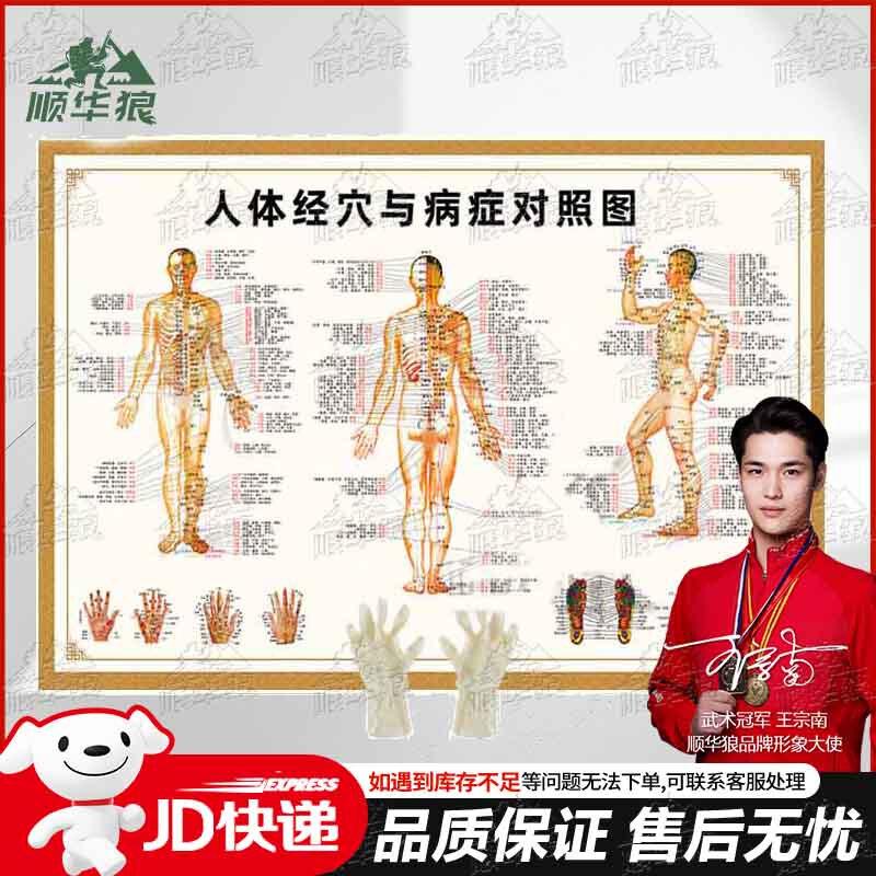 Shunhualang Medical & Emergency Training Manikins and Kits