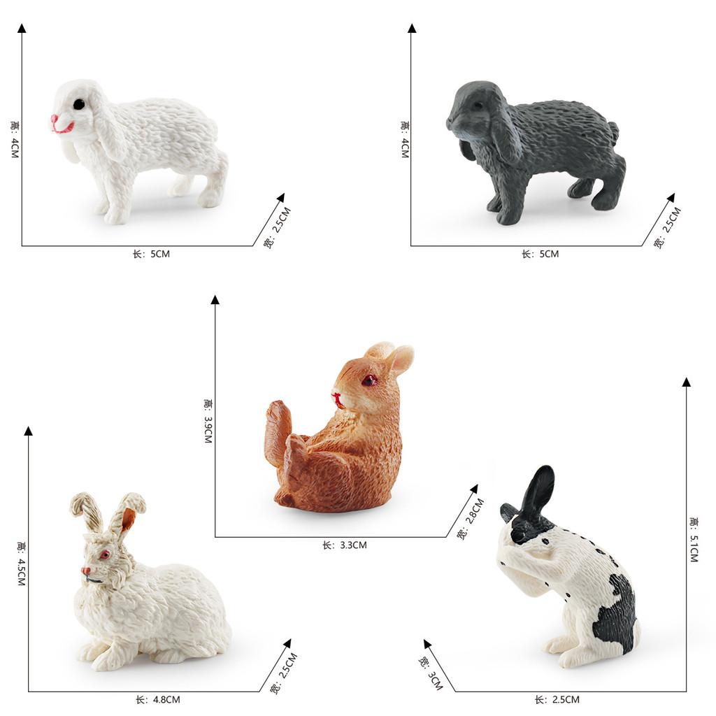 Wildlife Station Simulated And Sitting Posture Model Desktop Ornament For Kid