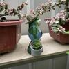Funny Frogs Garden Statue Resin Frog Potted Ornament Creative Frog Succulent Flower Pot for Indoor Outdoor Decor