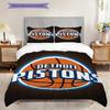 Set di tre pezzi con logo vibrante dei Detroit Pistons(1 * copripiumino + 2 * federa, senza nucleo) Copripiumino e federa morbidi e confortevoli