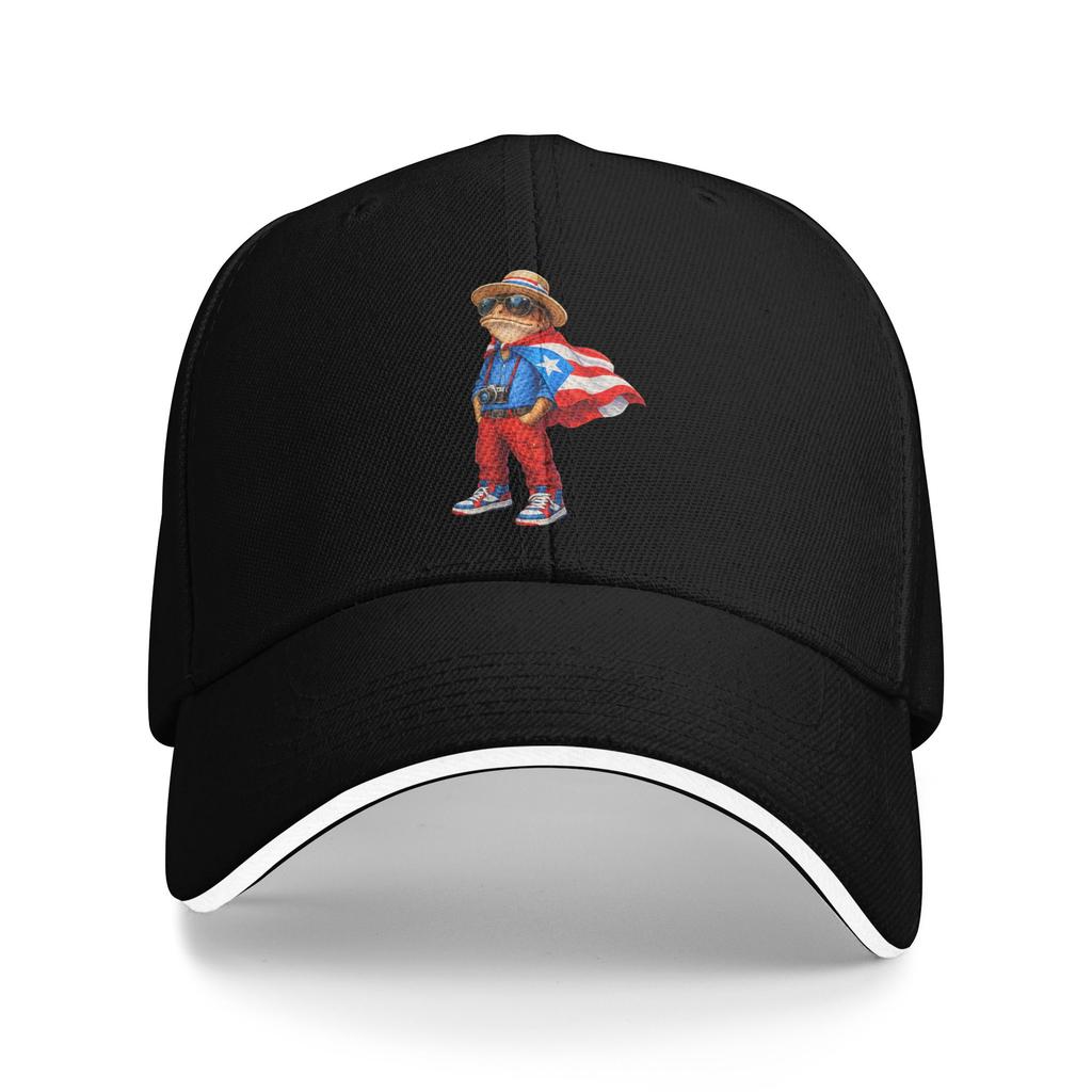 Coqui Frog Puerto Rico Flag Puerto Rican Casual Baseball Cap  Tennis Skate Trucker Hat Fashion Baseball Caps