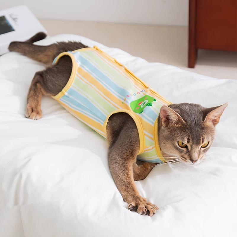 Cat sterilization clothes spring and summer thin anti-licking post-operative clothes female cat weaning clothes anti-harassment physiological