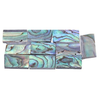 10 sztuk Abalone Shell wkładka naturalne gitary wkładka materiał podstrunnica gitarowa inkrustacje materiały