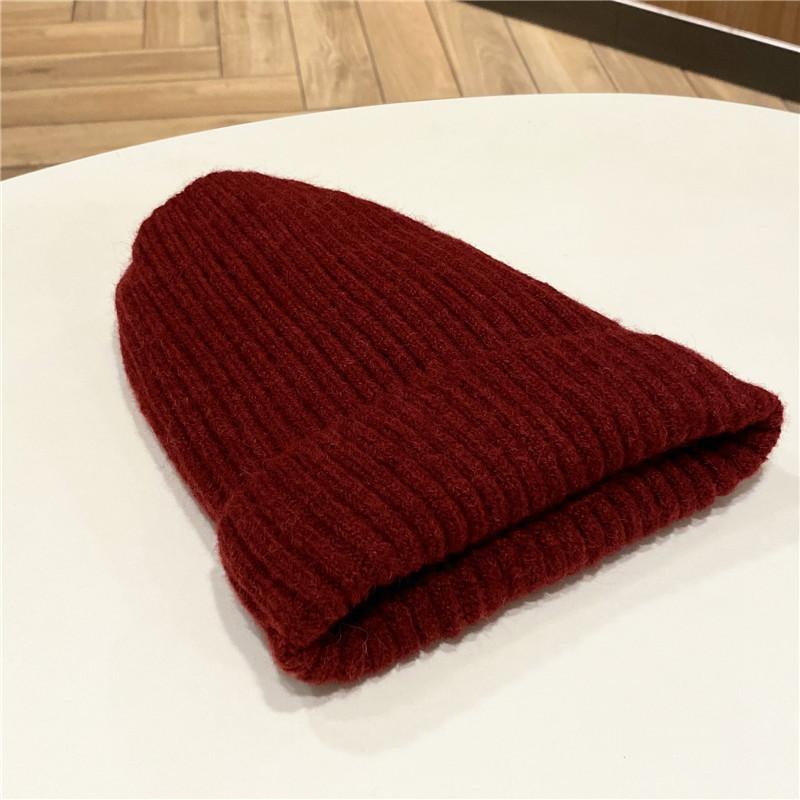 Autumn and Winter Cold Hat Wool Hat Women's Trendy Versatile Knitted Hat Men's Cool Velvet Thickened Warm Cold Hat