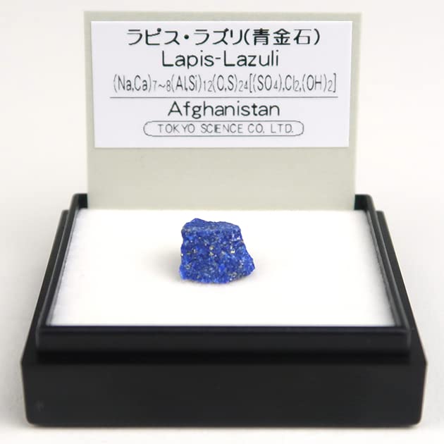 SCIENCE Mini Mineral Specimen Mineral Crystal 10mm Islamic Republic of Thumbnail Box 4cm Case Included Power Stone Lapis Lazuli Lapis Lazuli Rough