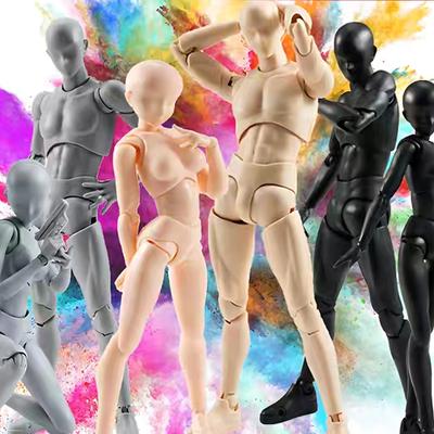 With Articulated Joints Sketching Painting Drawing Manikin Model Movable Joints Male Female Mannequin Poseable Figure