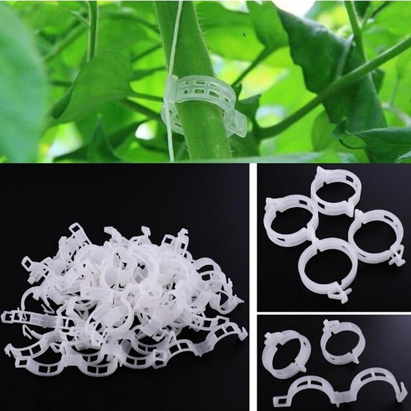 

Пластиковые Twig Clamp 50 Виноградные зажимы