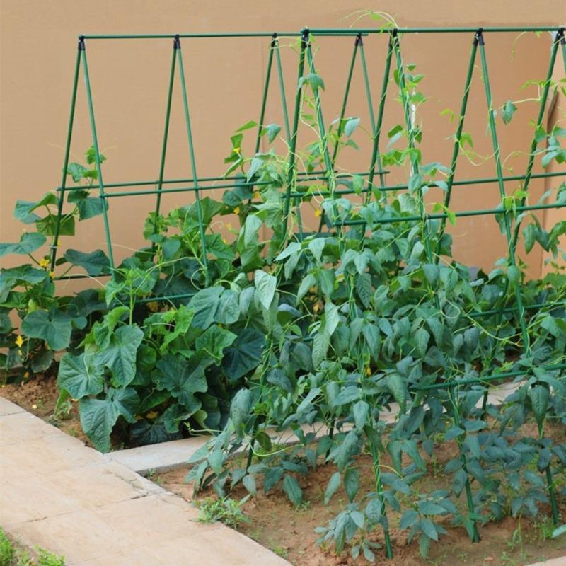 Kletterhilfen Gurke Grüne Bohnen Rankgitter Tomatenranken Gemüsepflanzen Stützstangen Ummantelte Stahlrohre kunststoffbeschichtet