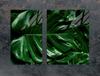 PIANO PROTETTIVO IN VETRO PER PIANO COTTURA 70x52 MONSTERA