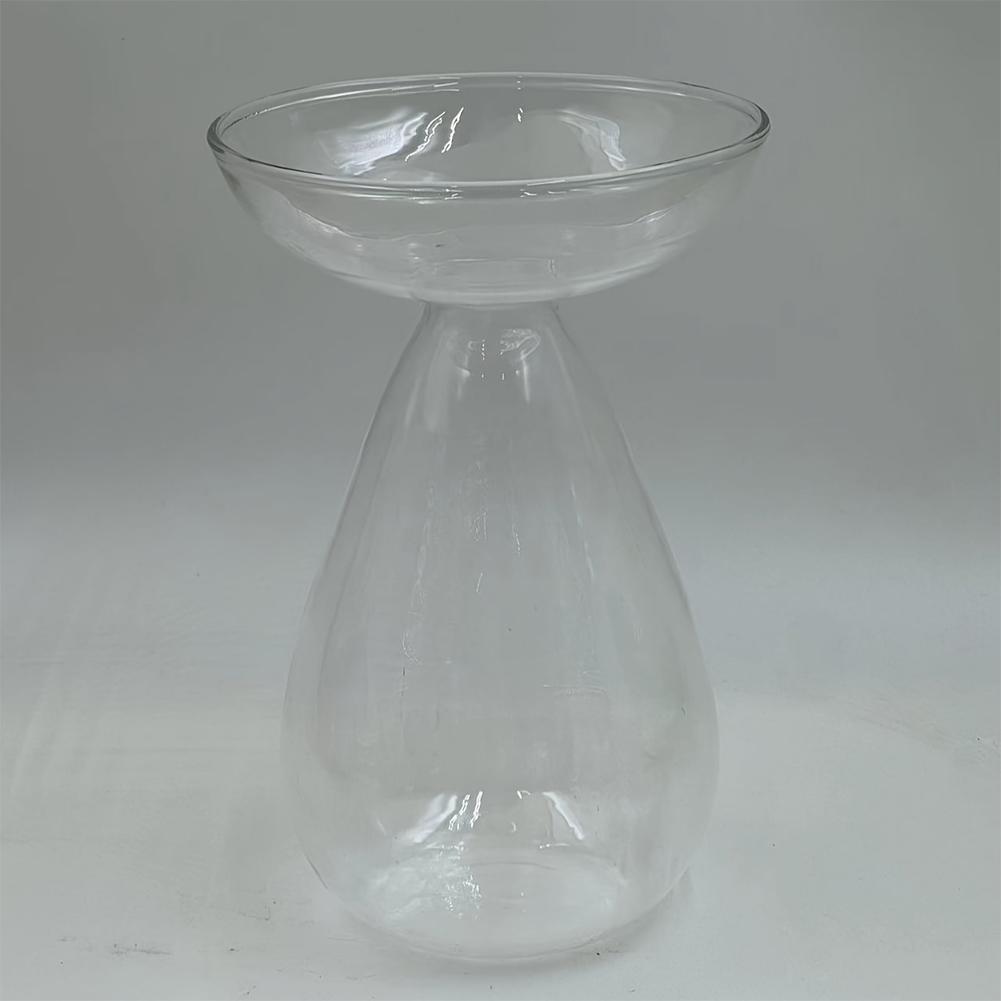 Avocado Hydroponische Vase Transparentes Pflanzenvermehrungsstation Glas Avocadobaum Blumenvase für Balkon