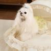 Pet Nest Removable and Washable Malzis Small and Medium Sized Dog Beds Mats Soft and Comfortable Cat Nest Semi-enclosed