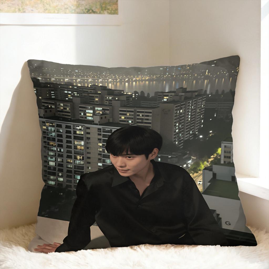 Y-Young-dae Kim Pillow Case Design Pillow Cover For Sofa Bedroom Home Decor Kawaii Pillowcases
