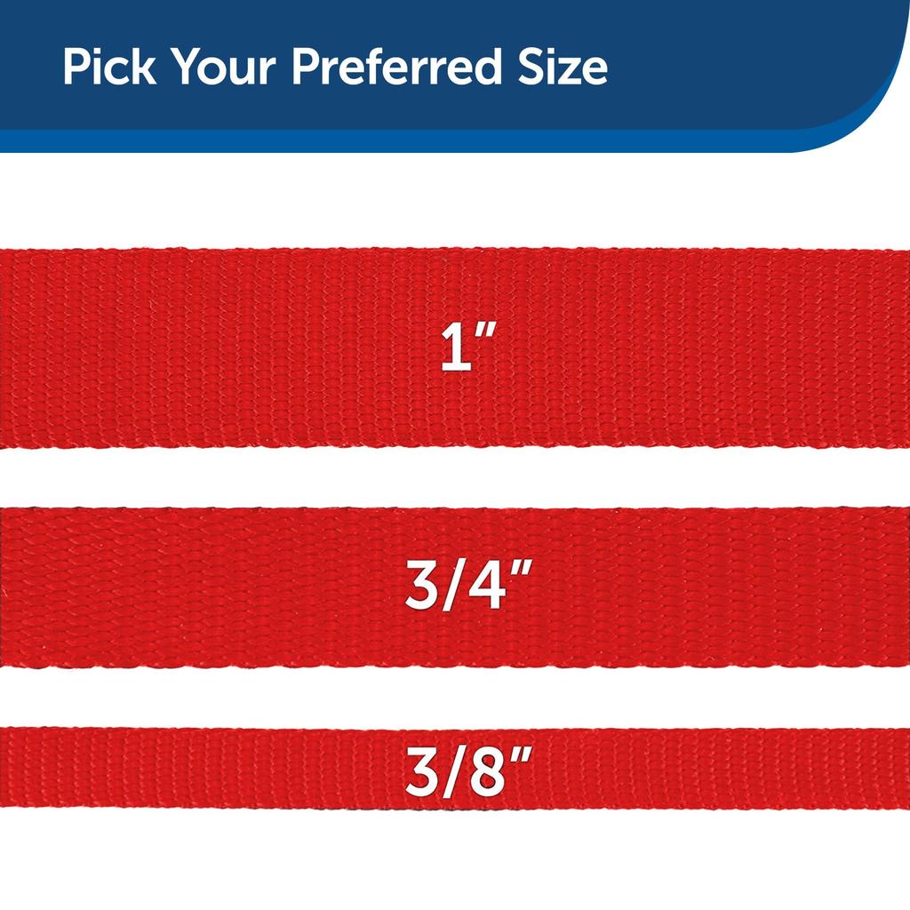 PetSafe Dog Nylon Width x Length 180cm Leash, Leash, Red, 1.0cm