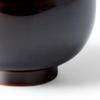 Lacquerware Dishwasher Made in Japan J-kitchens Bowl, Hand-Painted, Safe, PID-528169,