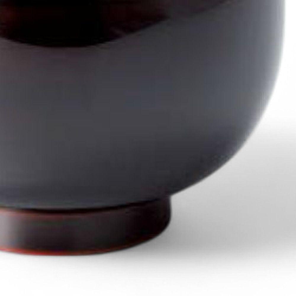 Lacquerware Dishwasher Made in Japan J-kitchens Bowl, Hand-Painted, Safe, PID-528169,