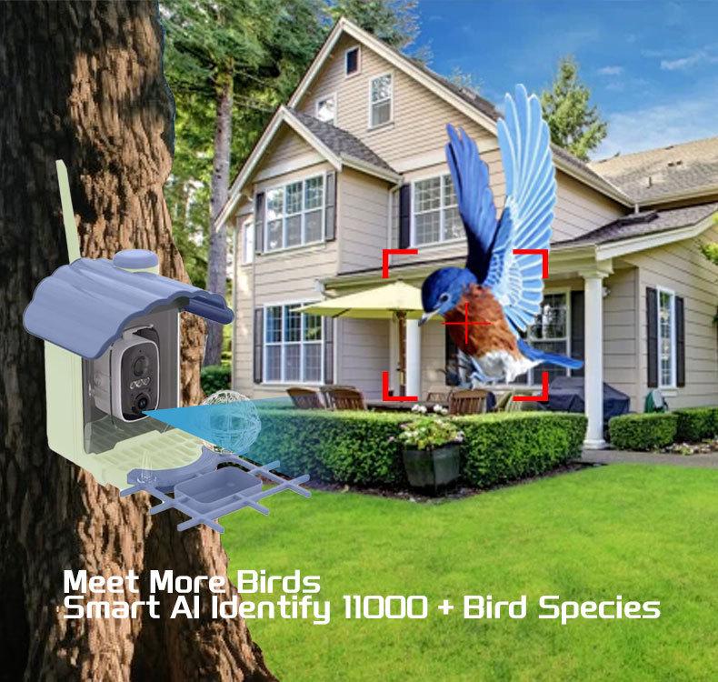 Smart Solar Bird Feeder Camera with Custom Hummingbird Feeder