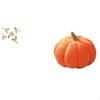 Wooden Bird Wall Art And Halloween Pumpkin Pillow Decorative Ornament for Bedroom Office Sofa