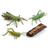 Realistic Kids Toys Praying Mantis Toy Cycle Mantis Figurine Life Cycle Figures Snail Growth Cycle