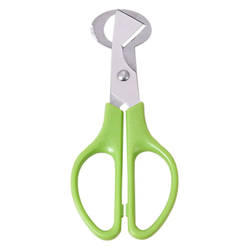 Creative Stainless Steel Cut Whisk Egg Apparatus Pigeon Quail Egg Scissor Bird Opener Kitchen Tool Clipper Gen Eggshell Cutter