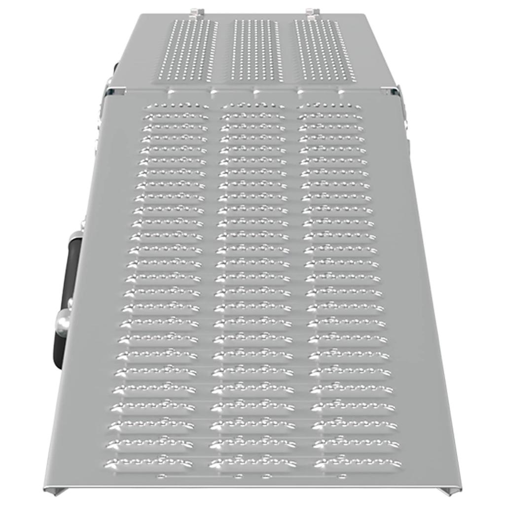 Rampa Pieghevole Capacità di Carico 200 kg per Rampa 2 pz Argento 166 x 23 x 4,5 cm