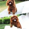 Dog Shoes for Dogs, Breathable Dog Boots & Paw Protectors for Hot Pavement Summer Winter Snow, 360° Anti-Slip Dog Booties
