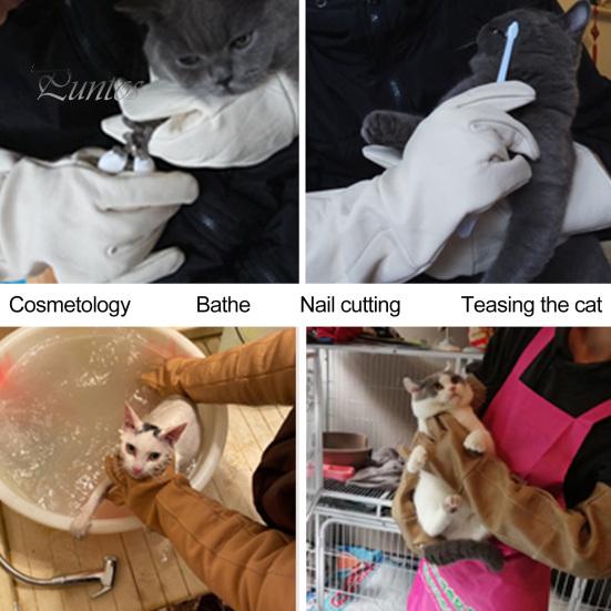 Guanti Anti Morso WZQH In Pelle Per Animali - Protezione Per Mani E Avambracci - Foto miniatura 13