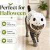 Soft Plush Halloween Cat Skeleton Hoodie Glow in Dark Pet Dino Skull Hooded Costume  Cat and Dog