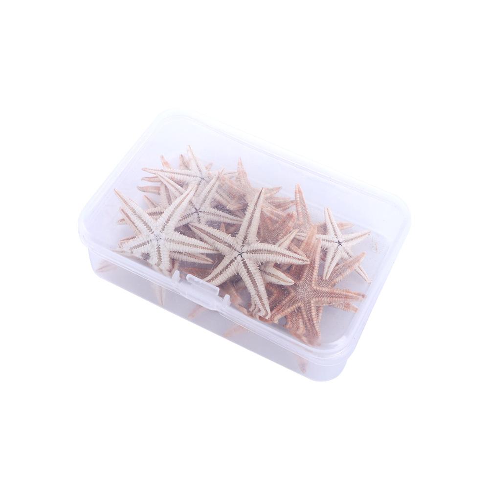 Aquatic Pet Sea Shells Conch Shell Fish Tank Decoration Resin Casting Starfish Aquarium Supplies