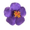 9cm EVA Frangipani Hibiscus Havajská Kvetinová Brošňa Pokrývka Hlavy Sušené Kvetinové Doplnky