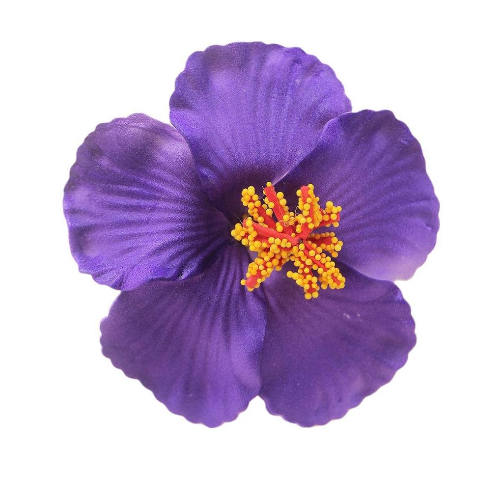 9cm EVA Frangipani Hibiscus Havajská Kvetinová Brošňa Pokrývka Hlavy Sušené Kvetinové Doplnky