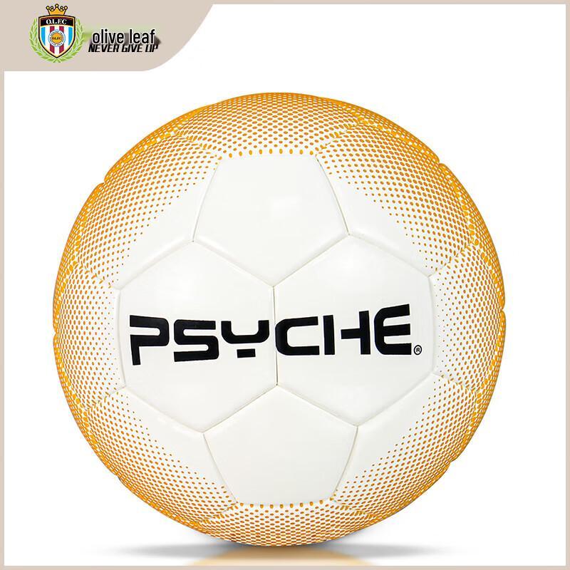 PSYCHE F5014 Thermal Bonded Size 5 Match Football