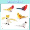 Realistic Parakeet Statues Pvc Collectible Figurines For Educational Display And Gift