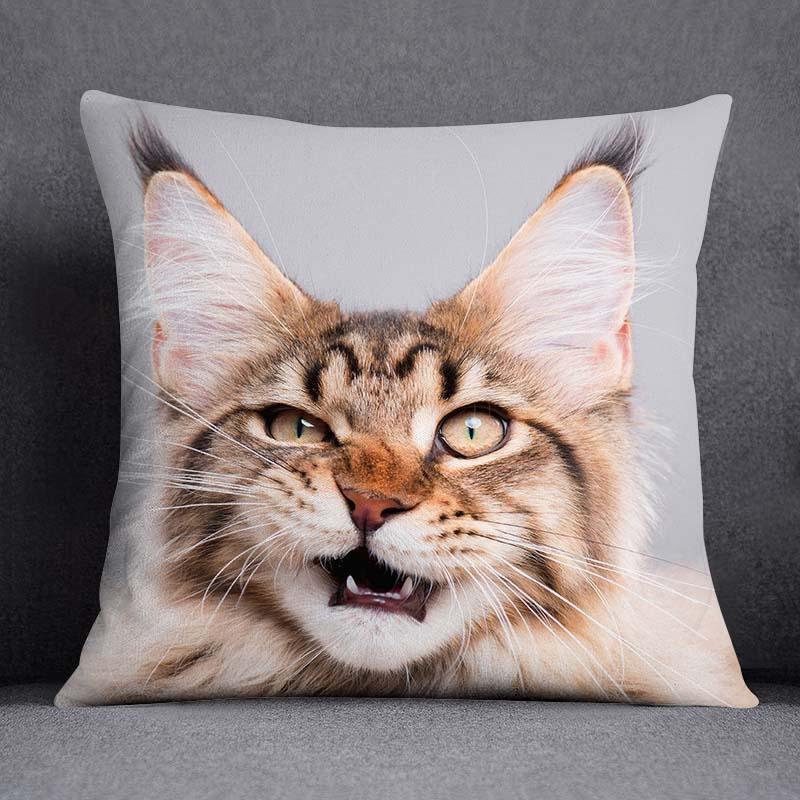 Cat Series Pattern Decorative Pillowcase, Square Home Office Decoration (45Cm * 45Cm)