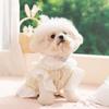 Doggy dress  lightweight princess style lace dress for pets and cats