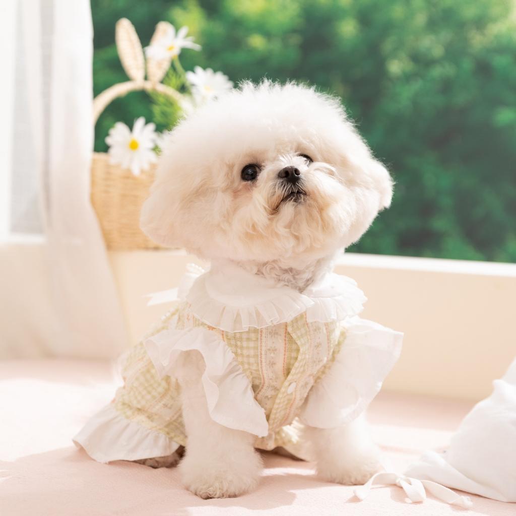Doggy dress lightweight princess style lace dress for pets and cats