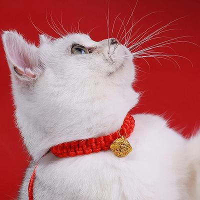 Haustierhalsband Katze Modisch Haustier Neujahr Verstellbare Halskette Rotes Seil Chinesisch Traditionell Glücksbringer Handgestrickter Katzenschal