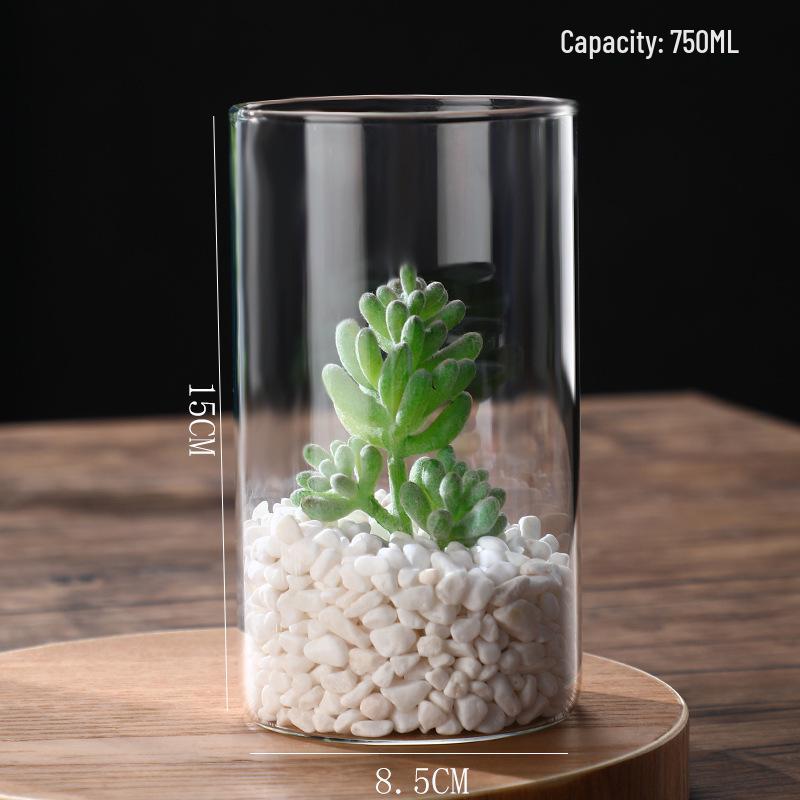 High Borosilicate Glass Hydroponic Vase & Desktop Planter - Straight Tube Design for Artistic Arrangements and Moss Ecosystem